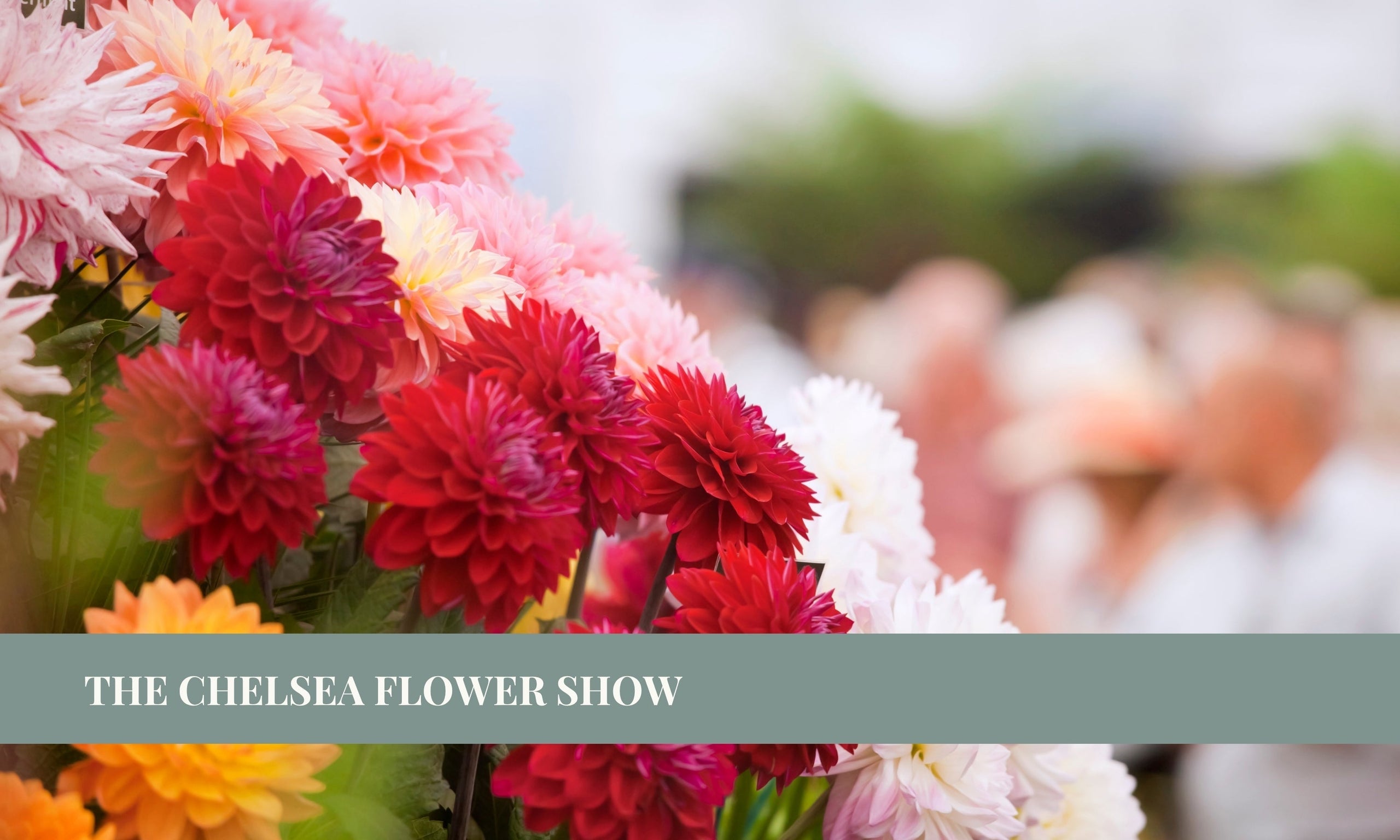 From Chelsea to the Bedroom: Designing with the Colours of the 2026 Flower Show