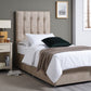Elizabeth Upholstered Divan Base, With 2 Large Side Drawers