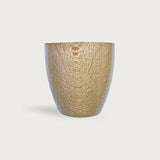 Beech Foot