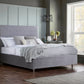 Nightingale Upholstered Bed With Fluted Headboard